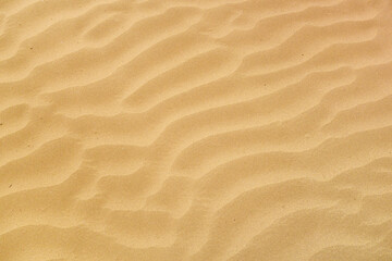 Fototapeta na wymiar Top view of the undulating surface of the desert sand