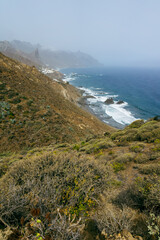 Landscape of the northern part of the island. Rocky coast of Benijo, Atlantic Ocean. Tenerife. Canary Islands. Spain.