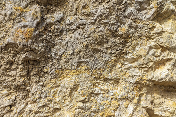 The abstract natural stone background