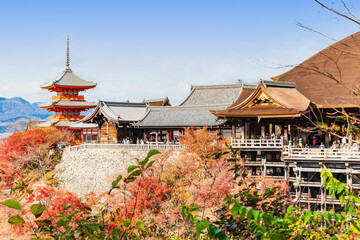Obraz premium 秋の京都 清水寺 全景