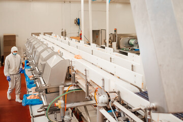 Meat processing plant.People working at a chicken factory - stock photo.Automated production line in modern food factory.