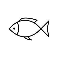 fish on a white