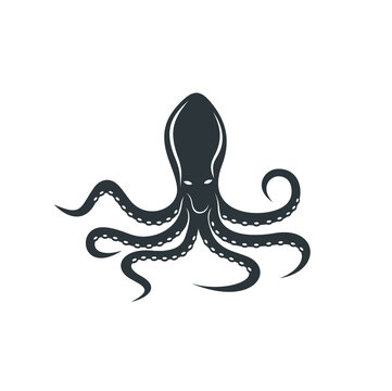 illustration of octopus, vector art.