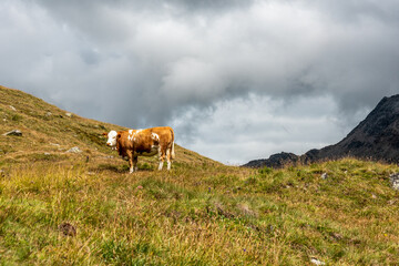Fototapeta na wymiar Scenic alpine landscape in the High Tauern National Park during a hike around Mt. Grossglockner