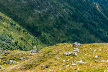 Fototapeta na wymiar Scenic alpine landscape in the High Tauern National Park during a hike around Mt. Grossglockner
