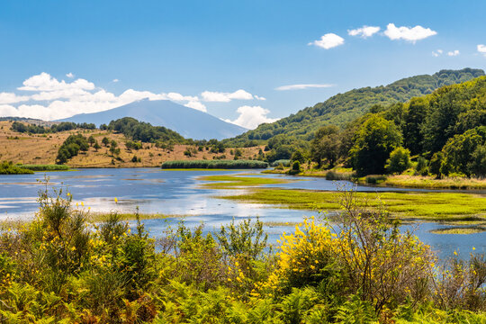 View of Biviere lake with Etna volcano, Nebrodi National Park, Sicily, Italy