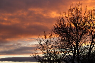 Obraz premium Abendrot am Herbsthimmel