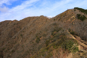 冬の丹沢　政次郎尾根登山道からの塔ノ岳遠景