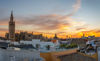Fototapeta premium Sunset view from a rooftop overlooking the Andalusian city of Seville, Spain, with the Giralda Tower and the great Seville Cathedral in view over the skyline at early evening.