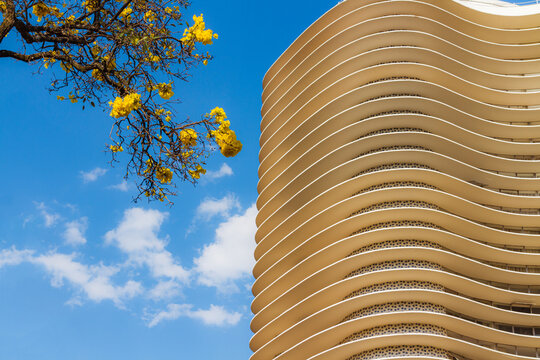 BELO HORIZONTE, MINAS GERAIS, BRAZIL - SEPTEMBER 5, 2021: Apartment building by Oscar Niemeyer and Yellow flower tree, Ipe, in Liberty Square (Pra&ccedil;a da LIberdade)