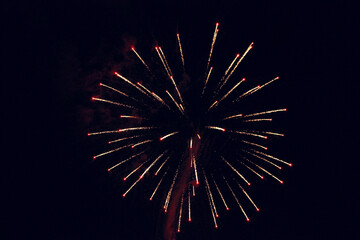 The explosion of fireworks in the night sky