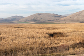 Autumn view of Aldomirovtsi marsh, Bulgaria