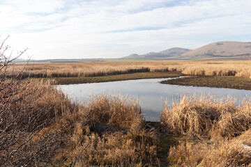 Autumn view of Aldomirovtsi marsh, Bulgaria