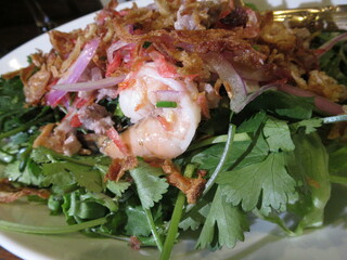 Shrimp and pak choi salad