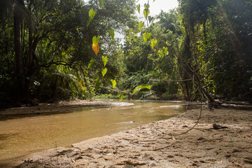 banks of a very quiet river