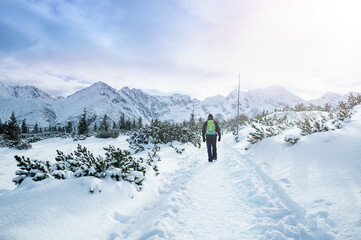 Fototapeta na wymiar Man hiking in mountains in winter, Zakopane