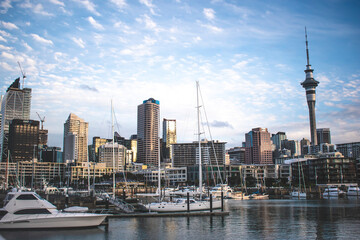 Naklejka premium Viaduct Harbor bridge Auckland City- sky tower view 