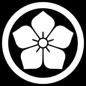 古布藍染　家紋　丸に桔梗 古布藍染 家紋 丸に桔梗 古布藍染体験 家紋 丸に桔梗 明治前期染