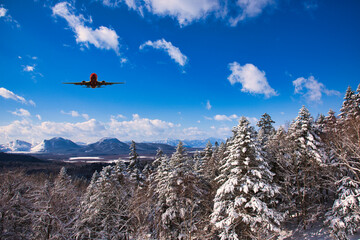 Fototapeta na wymiar 厳冬期の道東地方の雪景色