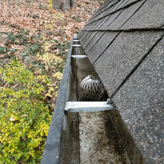 A handy wire strainer is used in gutters to protect the downspout system from getting clogged as...