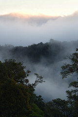 Beautiful view in the morning at Inthanon national park in Chiangmai, Thailand.