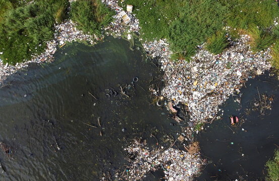 Algae fed by pollution carpet Venezuela's Lake Maracaibo in green