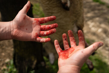 Top view on hands of unknown man covered with blood murder and slaughter concept