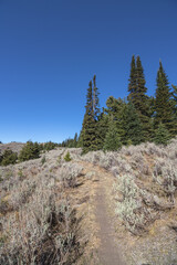 Hiking trail on Mt Kobau in British Columbia