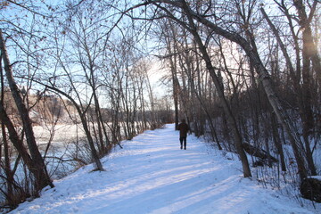 Winter Trail, Gold Bar Park, Edmonton, Alberta