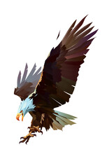 painted on a white background bright colored bird eagle