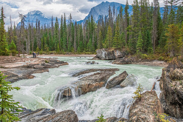 mountain river in the forest