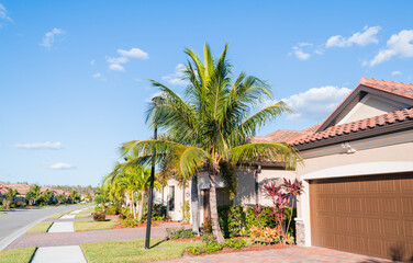 Fototapeta na wymiar palm trees, Florida golf community neighborhood background