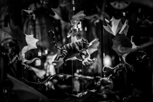 MAR DE LAS PAMPAS, ARGENTINA, NOVEMBER 10, 2019: Cheshire cat and other colorful hanging toys. Flying characters from fantasy movies of magic on a shallow depth of field