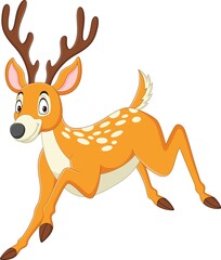 Fototapeta na wymiar Cartoon funny deer running on white background