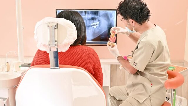 歯科医院で患者さんに模型で説明するドクターの様子	
