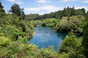 Fototapeta na wymiar Calm spot among native bush on Waikato River near Taupo