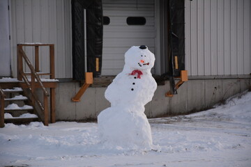 snowman in the winter