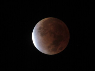 Naklejka na ściany i meble November 2021 Beaver Lunar Eclipse