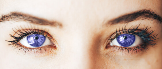 Obraz premium beautiful purple eyes with long eyelashes lenses vision, Color of year.