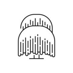 Exotic jungle tree with long brunches with leaves or roots hanging down isolated park plant thin line icon. Vector outline forest or garden architecture decor element. Spring summer botany plant