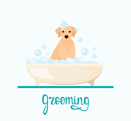Cute Labrador washes in the bathroom with foam. Grooming. Cartoon design.
