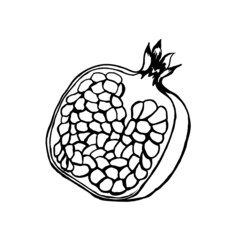 Pomegranate fruit,half,isolated on a white background.Vector hand drawing in doodle style.