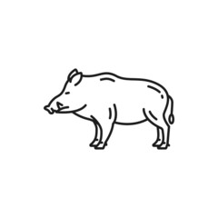 Obraz na płótnie Canvas Wild pig or swine, German boar mammal isolated outline icon. Vector African razorback hog with curved tusks, full length portrait. Warthog boar animal of savanna fauna, dangerous young snout
