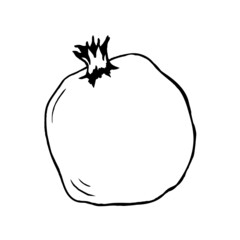 Pomegranate fruit, whole, isolated on a white background.Vector hand drawing in doodle style.