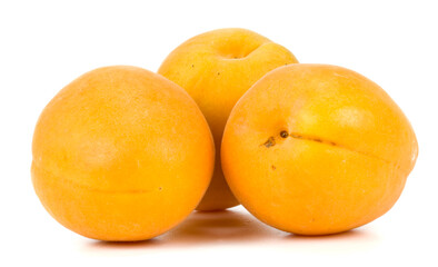 yellow plum on a white background