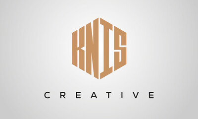 letters KNIS creative polygon hexagon logo victor template