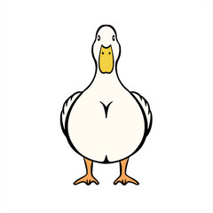 Duck
