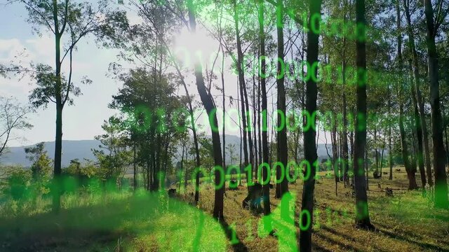 Binary code effect for green energy. Deforestation or reforestation for control of climate change. Environment emissions reduction. Clean energy generation.