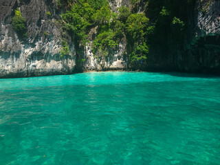 pool in the tropical forest