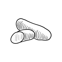 vector drawing sketch of sweet potato, vegetable isolated at white background,hand drawn illustration